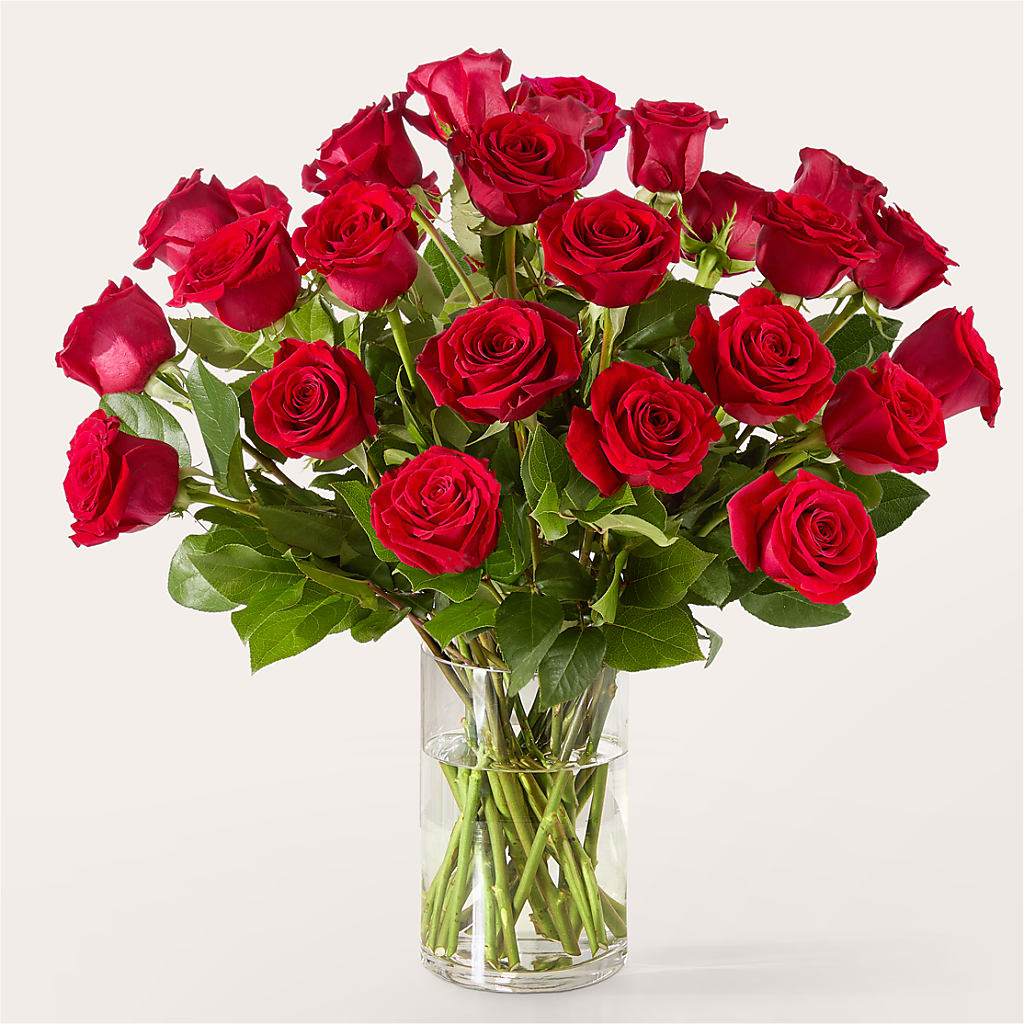 The One Red Rose Bouquet –  Lemon Tree Florist, Kemp TX