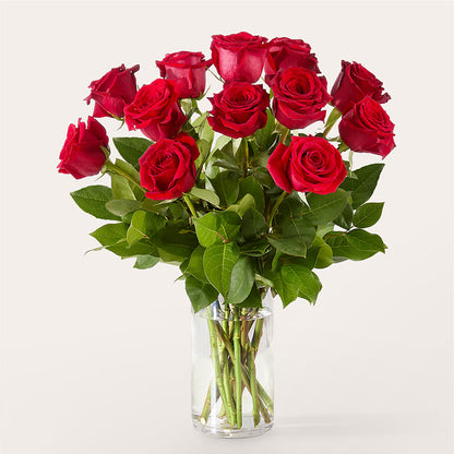 The One Red Rose Bouquet –  Lemon Tree Florist, Kemp TX