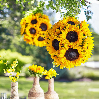 Sublime Garden Hanging Arrangement –  Lemon Tree Florist, Kemp TX