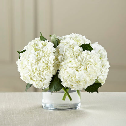 White Hydrangea Bouquet –  Lemon Tree Florist, Kemp TX