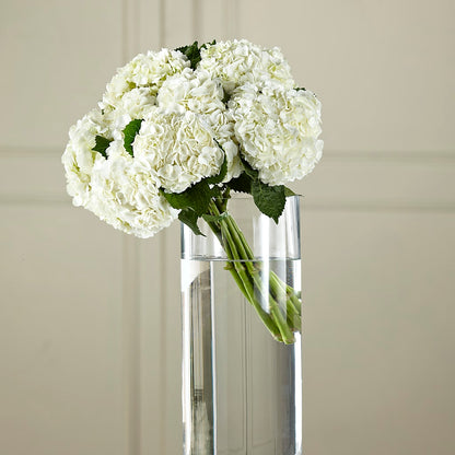 White Hydrangea Hand-Tied Bouquet –  Lemon Tree Florist, Kemp TX